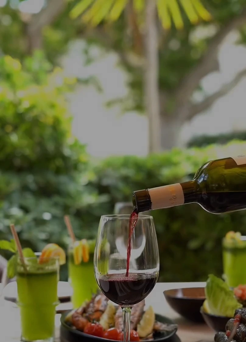 Aperçu de la maquette Cinéma : une table en terrasse, un verre de vin servi